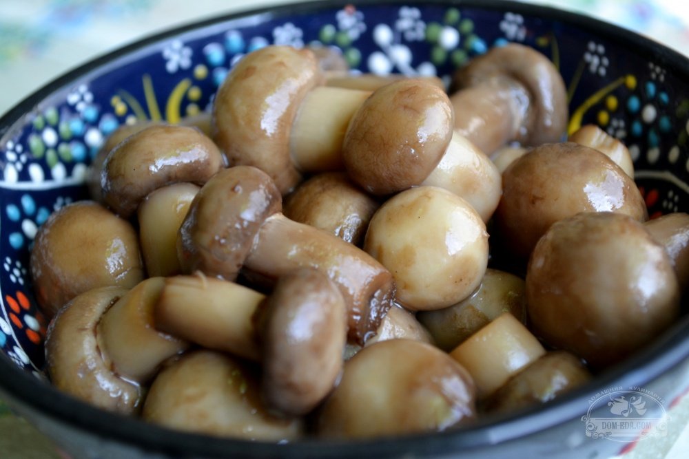 🥗 7 рецептов праздничных салатов с маринованными грибами! Гости останутся довольны ☺️