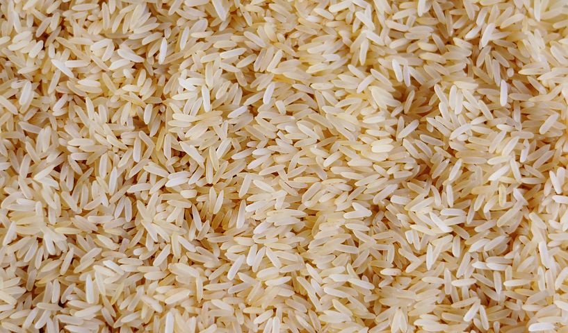 Зерно риса продовольственное
