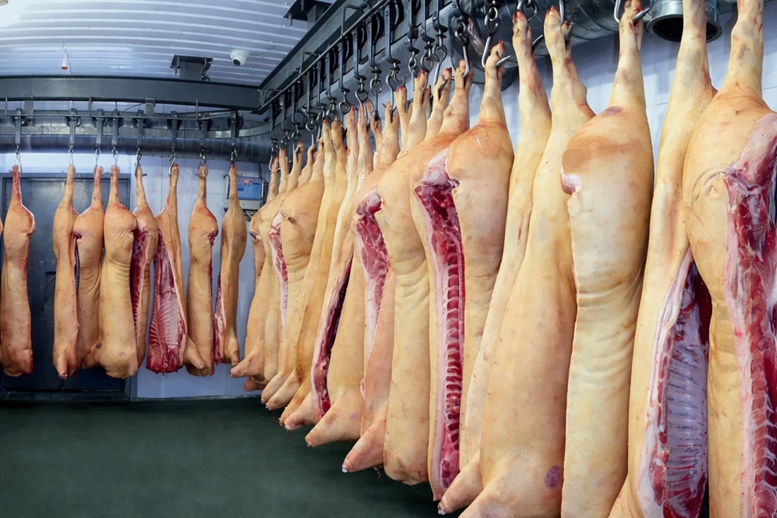 (МПЗ) «Столичный» свиные туши